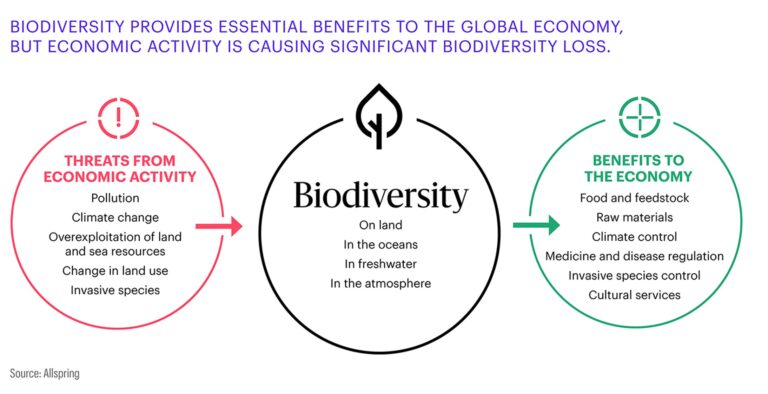 Biodiversity impact 