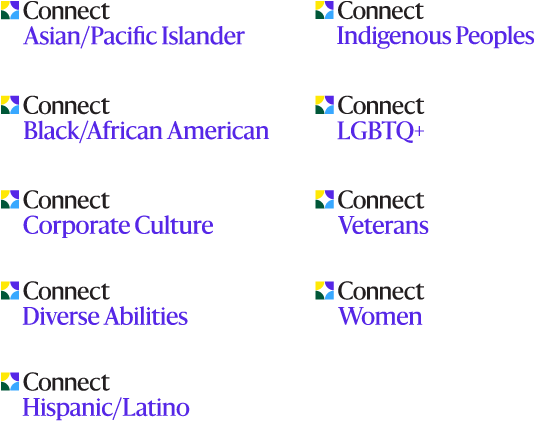 Grid of icons labeled “Connect” representing various communities: Asian/Pacific Islander, Indigenous Peoples, Black/African American, LGBTQ+, Corporate Culture, Veterans, Diverse Abilities, Women, and Hispanic/Latino.