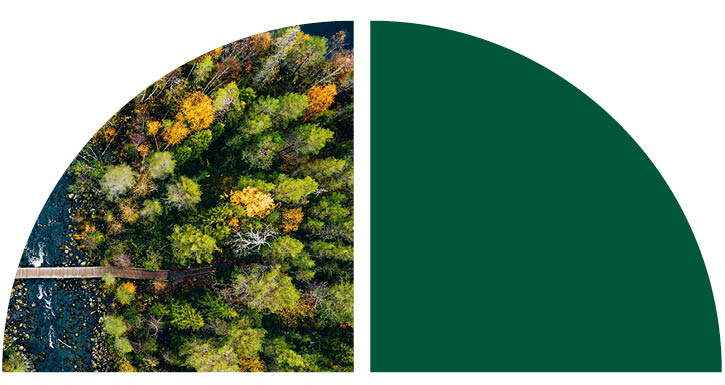 Bird's eye view of green forest with brown walkway.